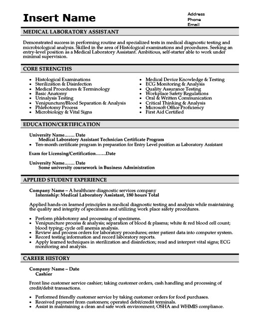 Resume Templates101 Resume Picture